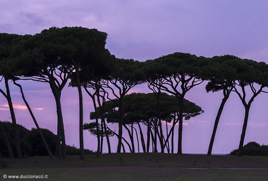 The Gulf of Baratti, from land to sea