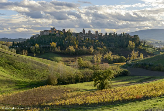 Certaldo Alto, known as “Castello”