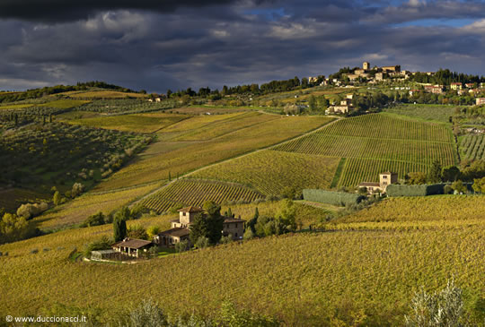 Il Chianti da gustare