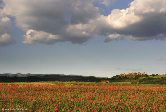 Monteriggioni, a stroll through history