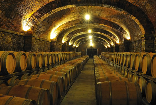 Degustazioni nel Chianti… off-road